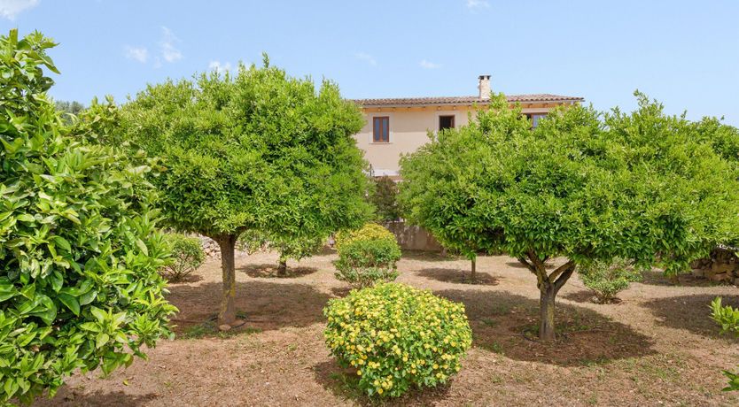 Photo of Finca Fresh