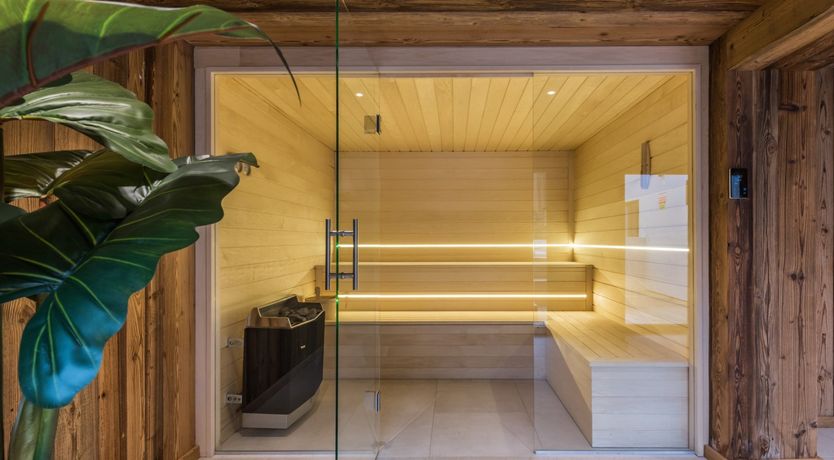 Photo of Sitka Spruce