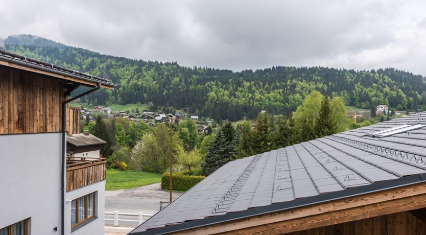 Photo of Sitka Spruce