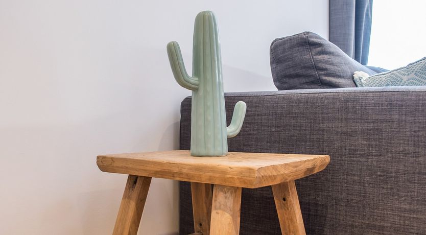 Photo of Sitka Spruce