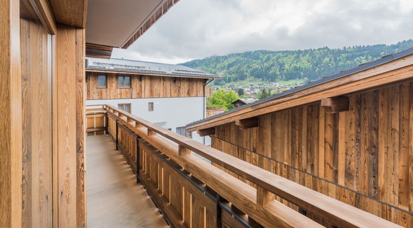 Photo of Sitka Spruce