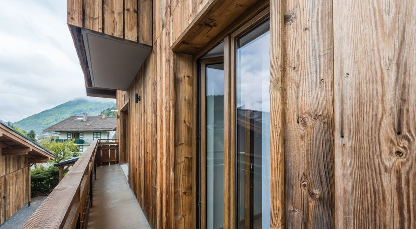 Photo of Sitka Spruce