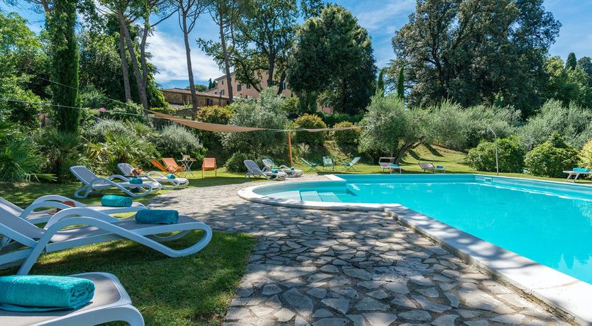 Photo of Evergreen Oleander