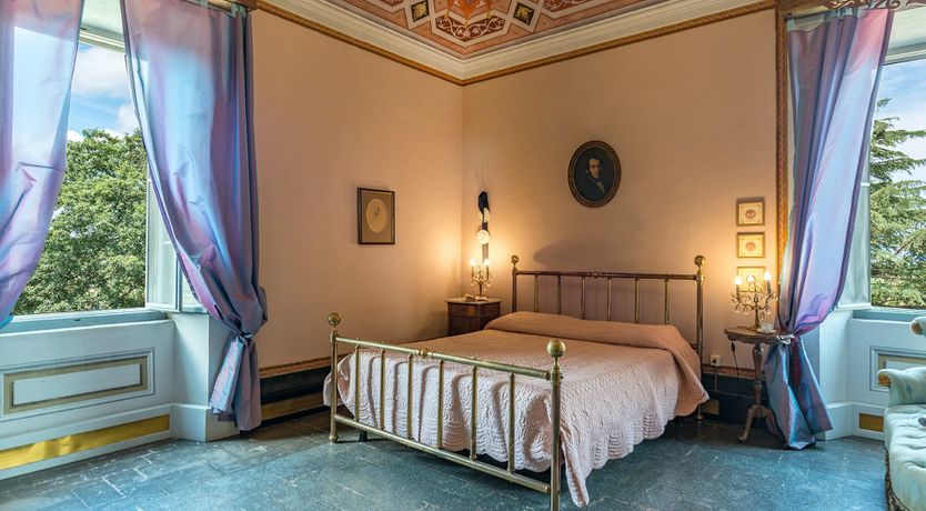 Photo of Evergreen Oleander