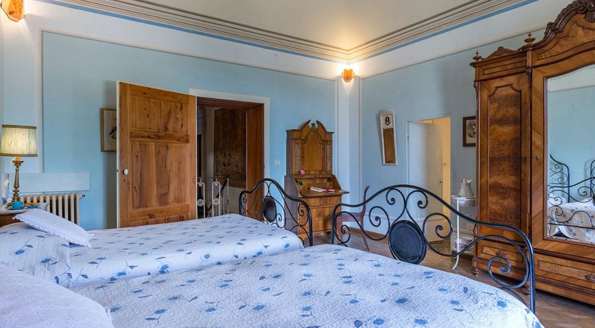 Photo of Evergreen Oleander