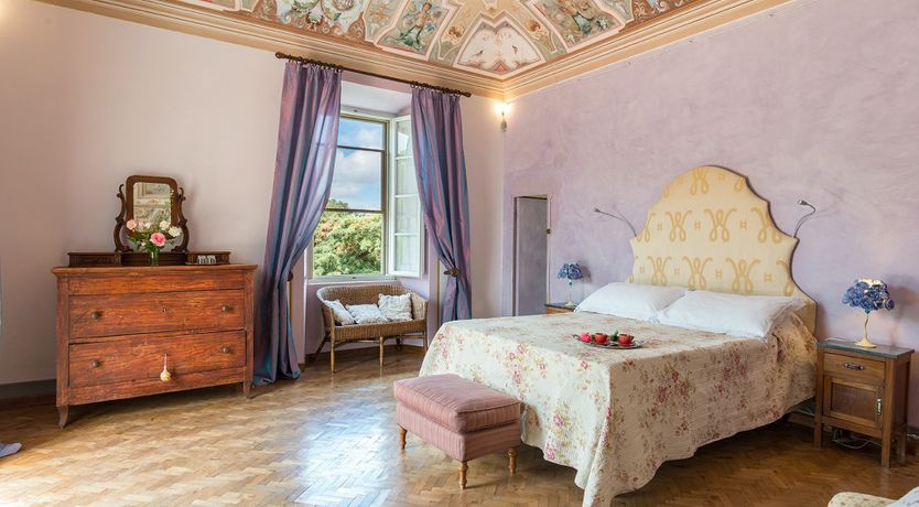 Photo of Evergreen Oleander