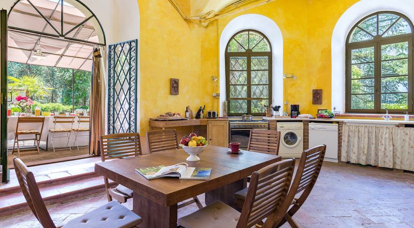 Photo of Evergreen Oleander