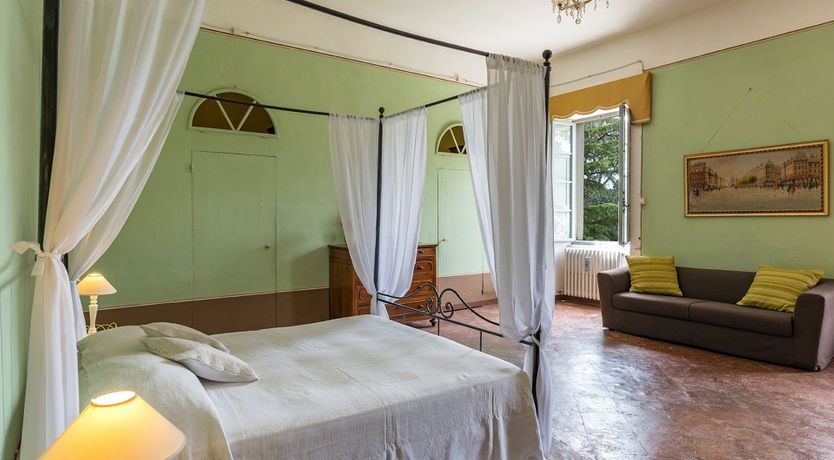 Photo of Evergreen Oleander