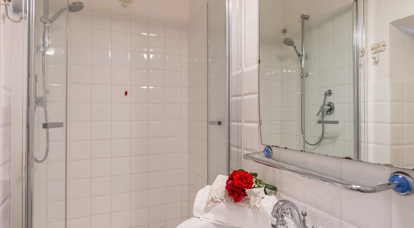 Photo of Evergreen Oleander