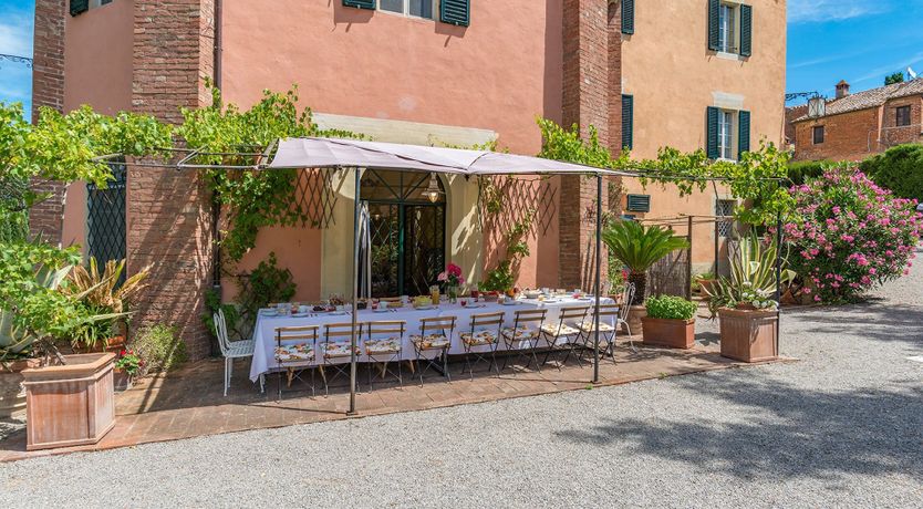 Photo of Evergreen Oleander