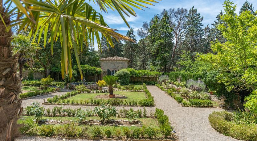 Photo of Evergreen Oleander