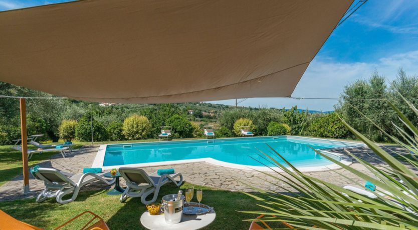 Photo of Evergreen Oleander