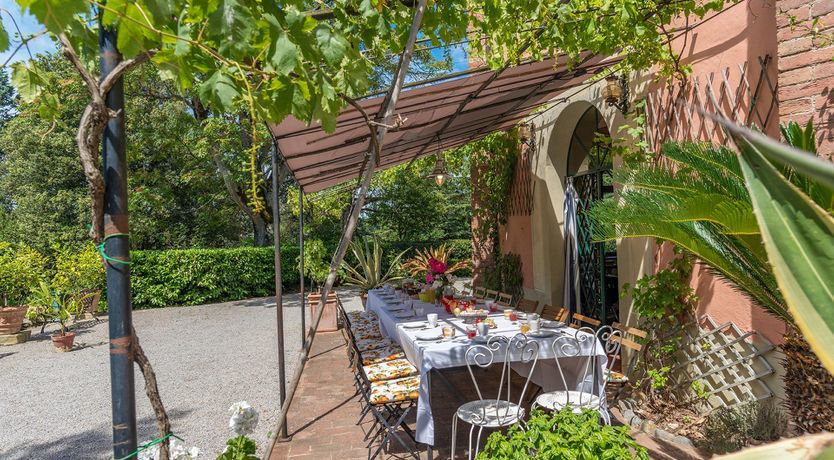 Photo of Evergreen Oleander