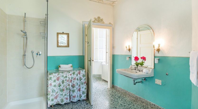 Photo of Evergreen Oleander