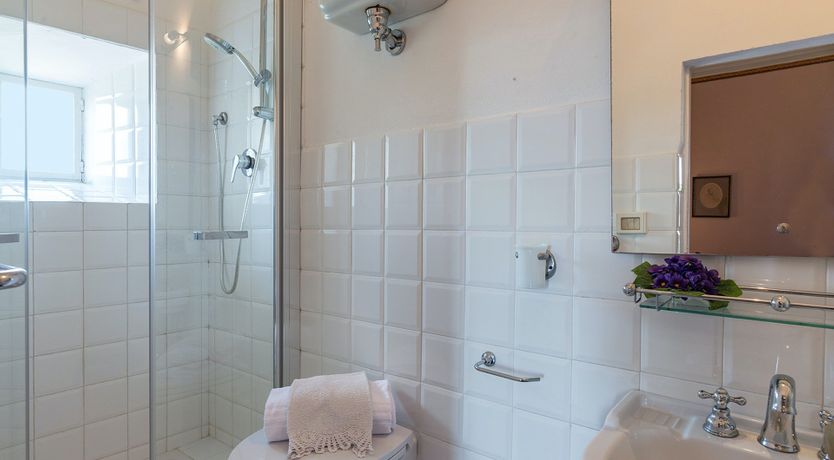 Photo of Evergreen Oleander