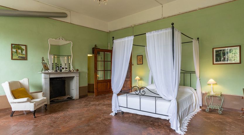 Photo of Evergreen Oleander