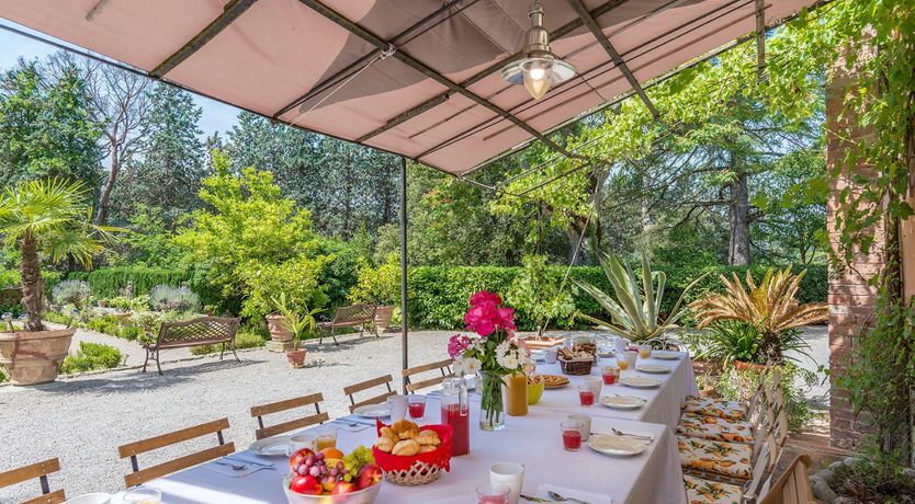 Photo of Evergreen Oleander