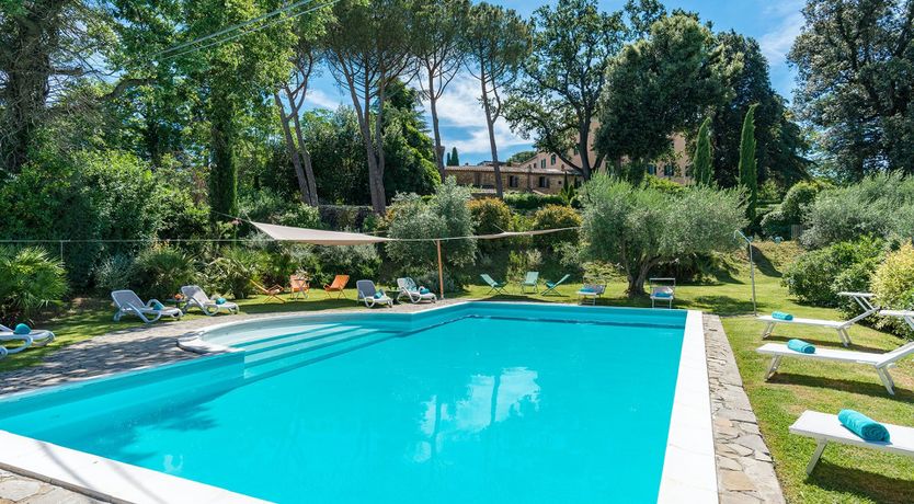 Photo of Evergreen Oleander