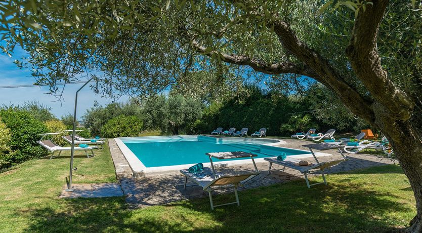 Photo of Evergreen Oleander