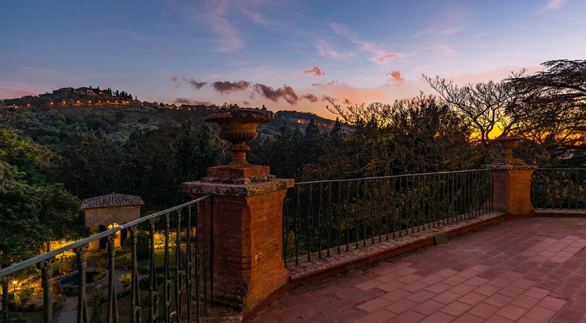 Photo of Evergreen Oleander