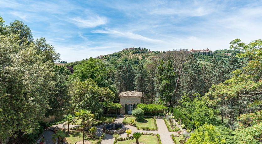 Photo of Evergreen Oleander