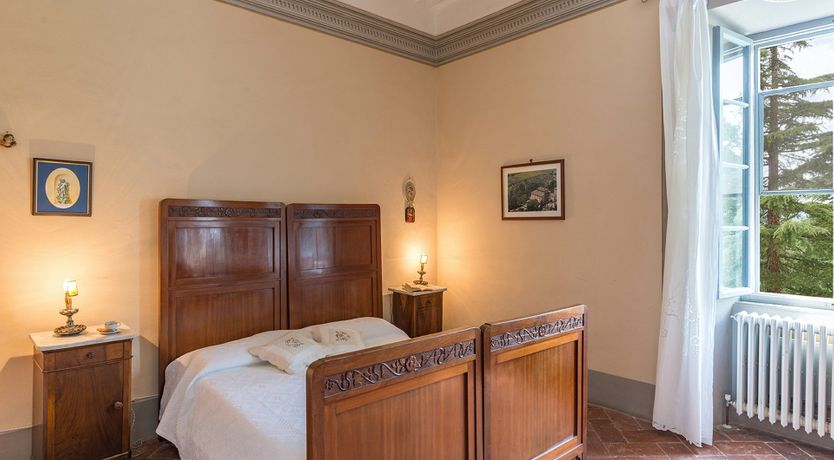 Photo of Evergreen Oleander