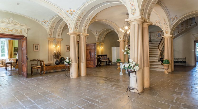 Photo of Evergreen Oleander