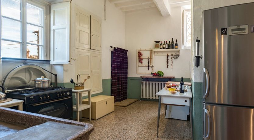 Photo of Evergreen Oleander