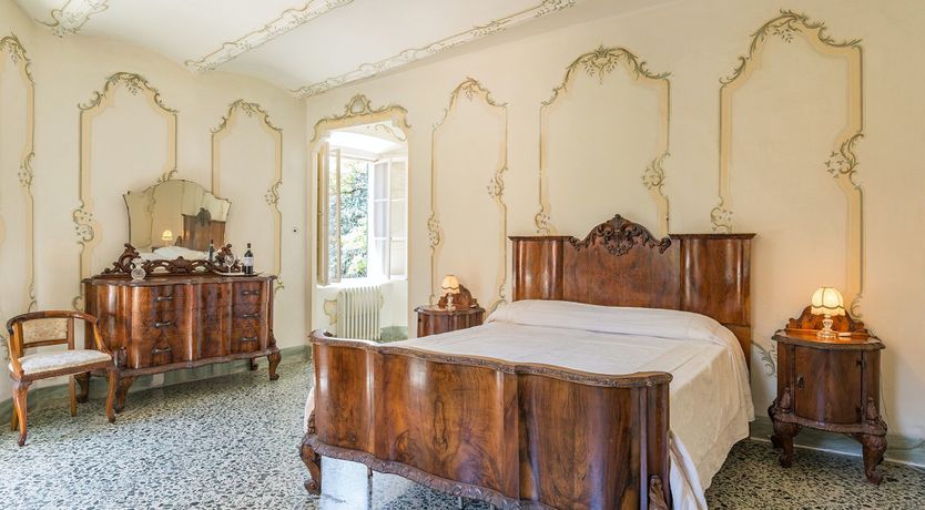 Photo of Evergreen Oleander