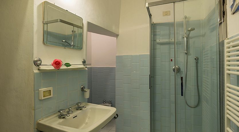 Photo of Evergreen Oleander