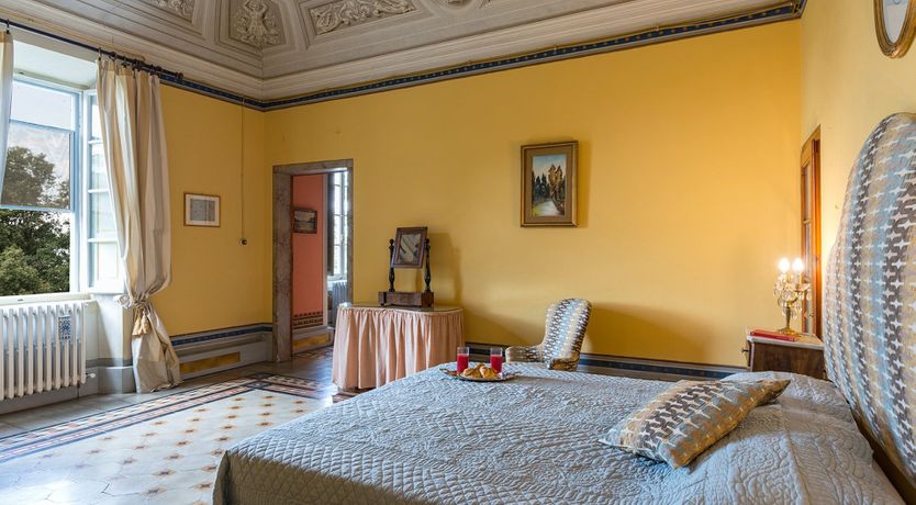 Photo of Evergreen Oleander