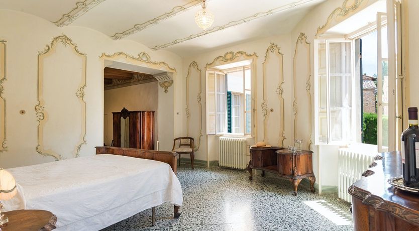 Photo of Evergreen Oleander