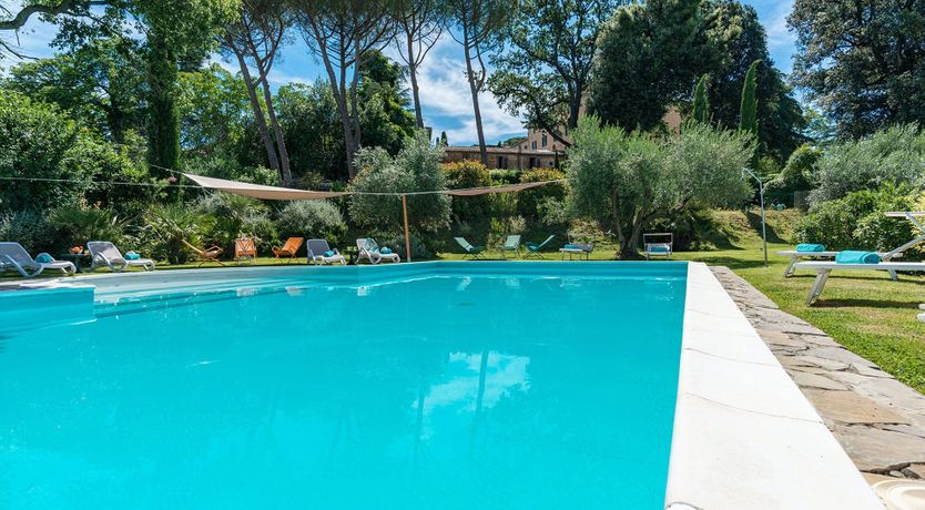 Photo of Evergreen Oleander