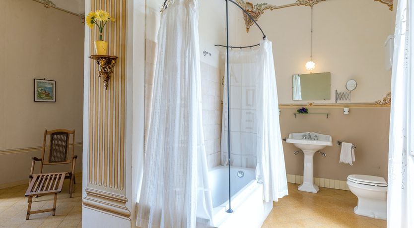 Photo of Evergreen Oleander