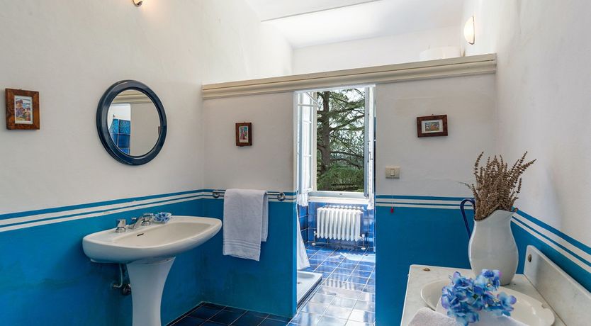 Photo of Evergreen Oleander