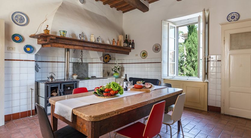 Photo of Evergreen Oleander