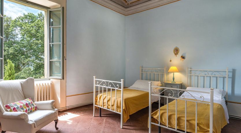 Photo of Evergreen Oleander