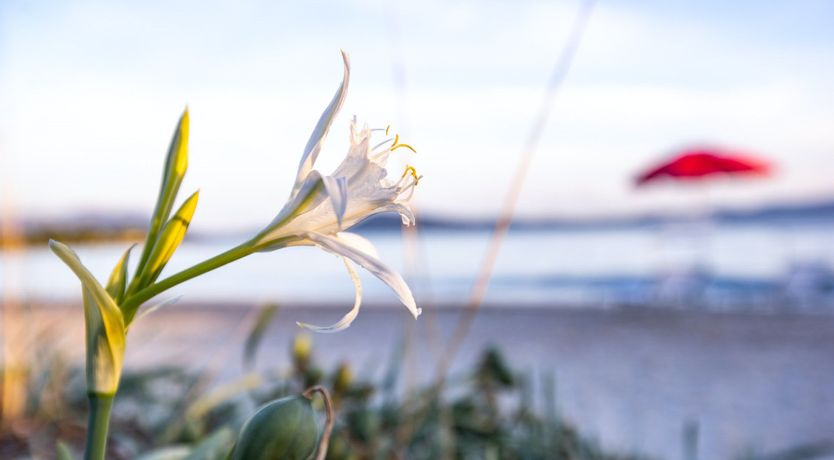 Photo of Sea & Rocks
