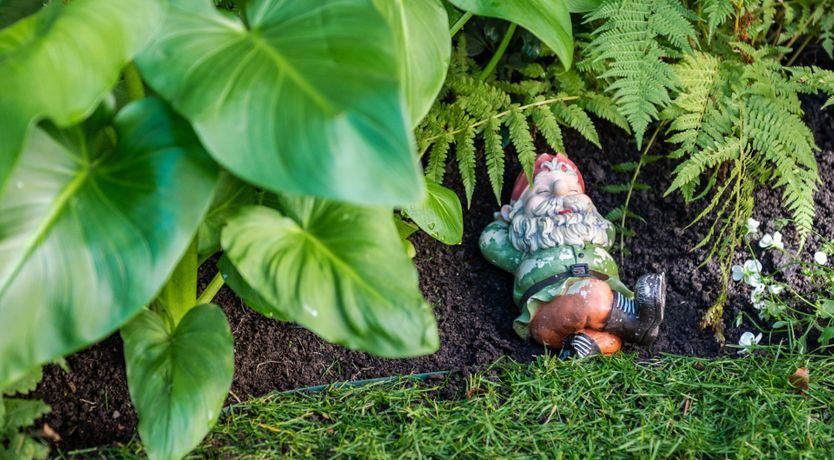 Photo of The White Stag