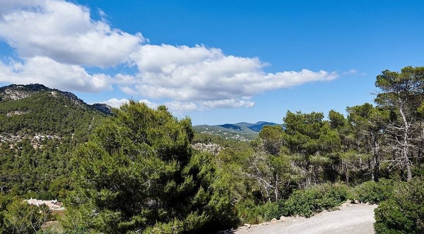 Photo of Sol Sol Sol