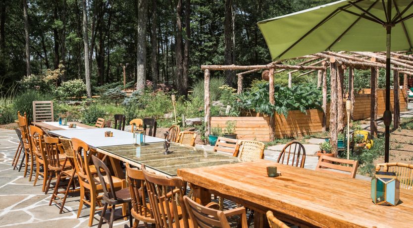 Photo of Hawk & Falcon