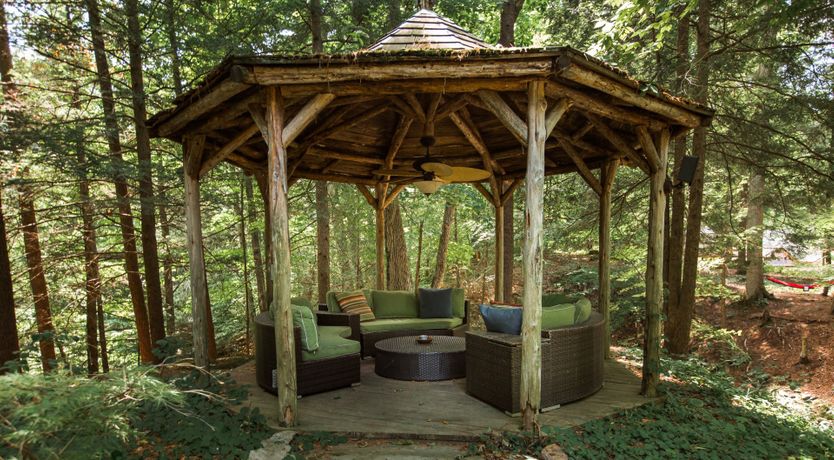 Photo of Hawk & Falcon