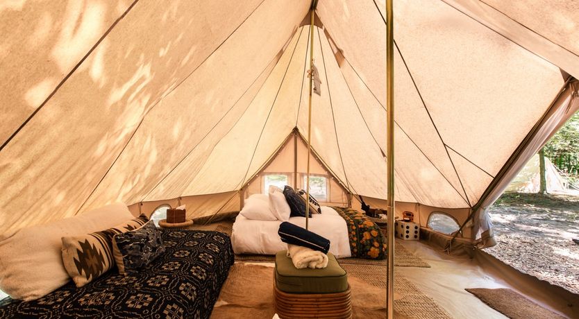 Photo of Hawk & Falcon