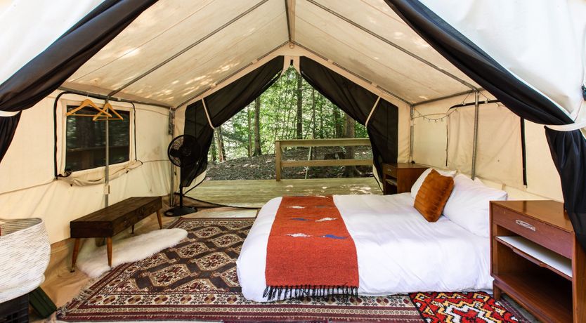 Photo of Hawk & Falcon