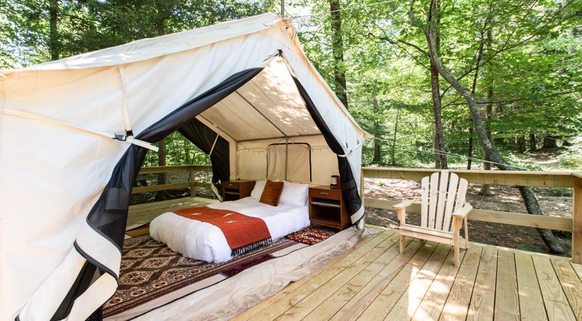 Photo of Hawk & Falcon