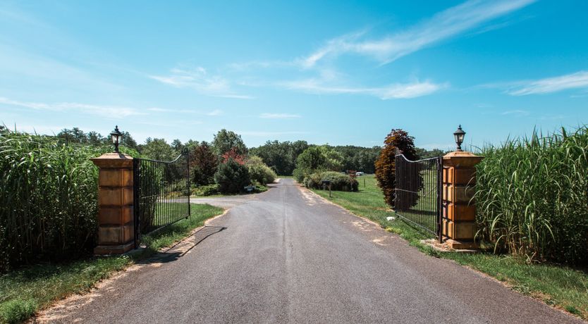 Photo of Hawk & Falcon