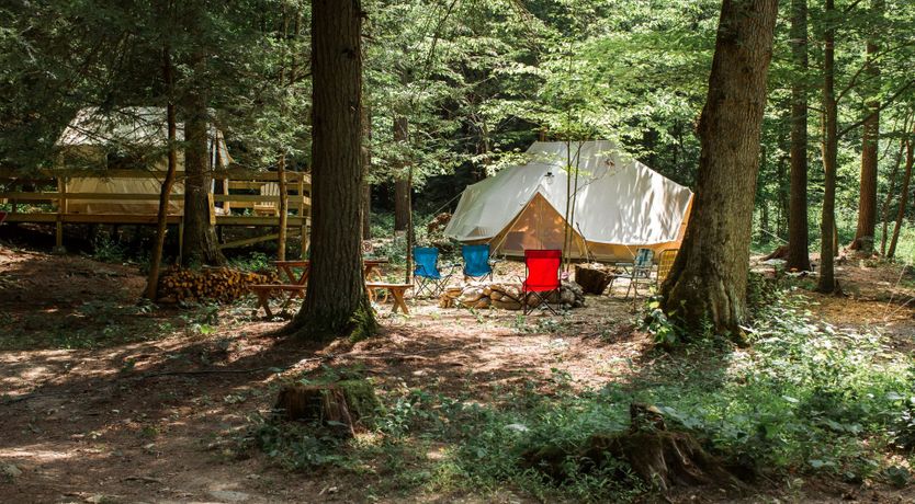 Photo of Hawk & Falcon