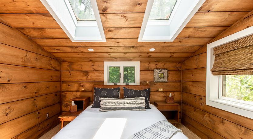 Photo of Hawk & Falcon