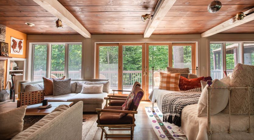 Photo of Hawk & Falcon