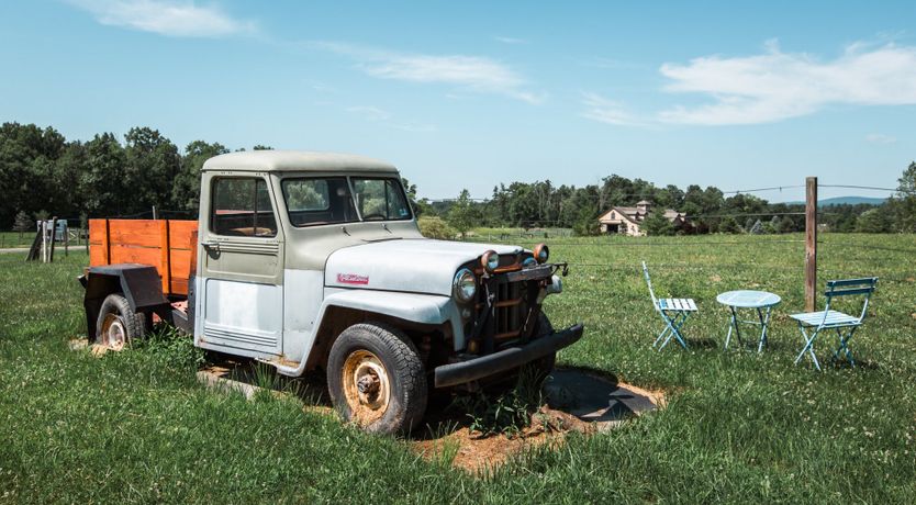 Photo of Hawk & Falcon